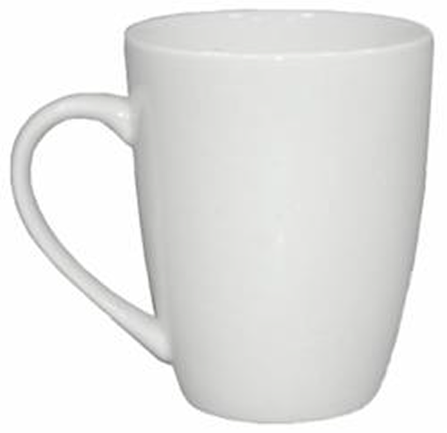 PALM LANE PORCELAIN CLASSIC BORDER MUG 10.5OZ