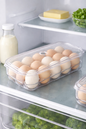 16 EGG STORAGE CONTAINER