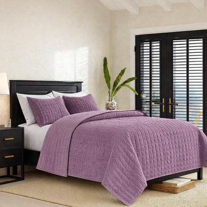 Aleda Textured Velveteen 4-pc Quilt Set
