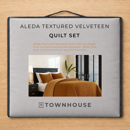 Aleda Textured Velveteen 4-pc Quilt Set