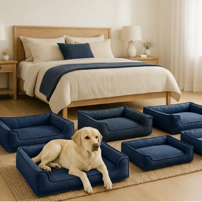 Dog Beds