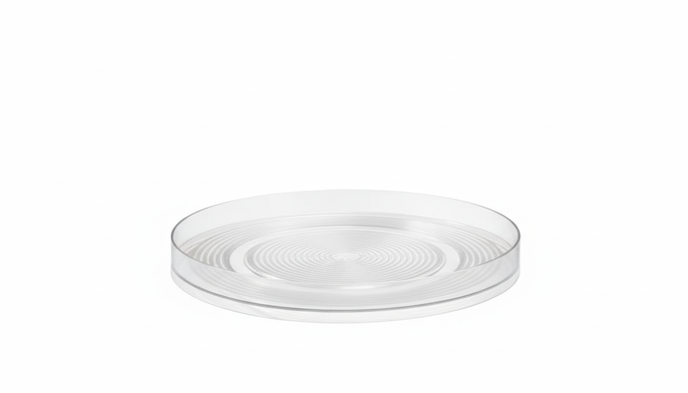 LAZY SUSAN ORGANIZER