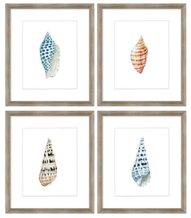 Wall Art Ð Coastal Shell Study (4pc)