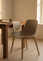 Plastic Chair (PP)