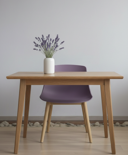 Plastic Chair (PP)
