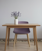 Plastic Chair (PP)